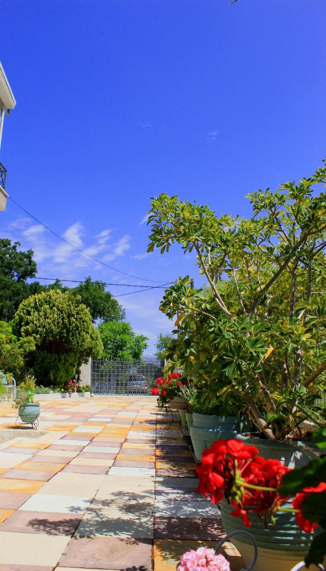 Olyna'S Apartment N.S Preveza Nea Sampsounta ภายนอก รูปภาพ
