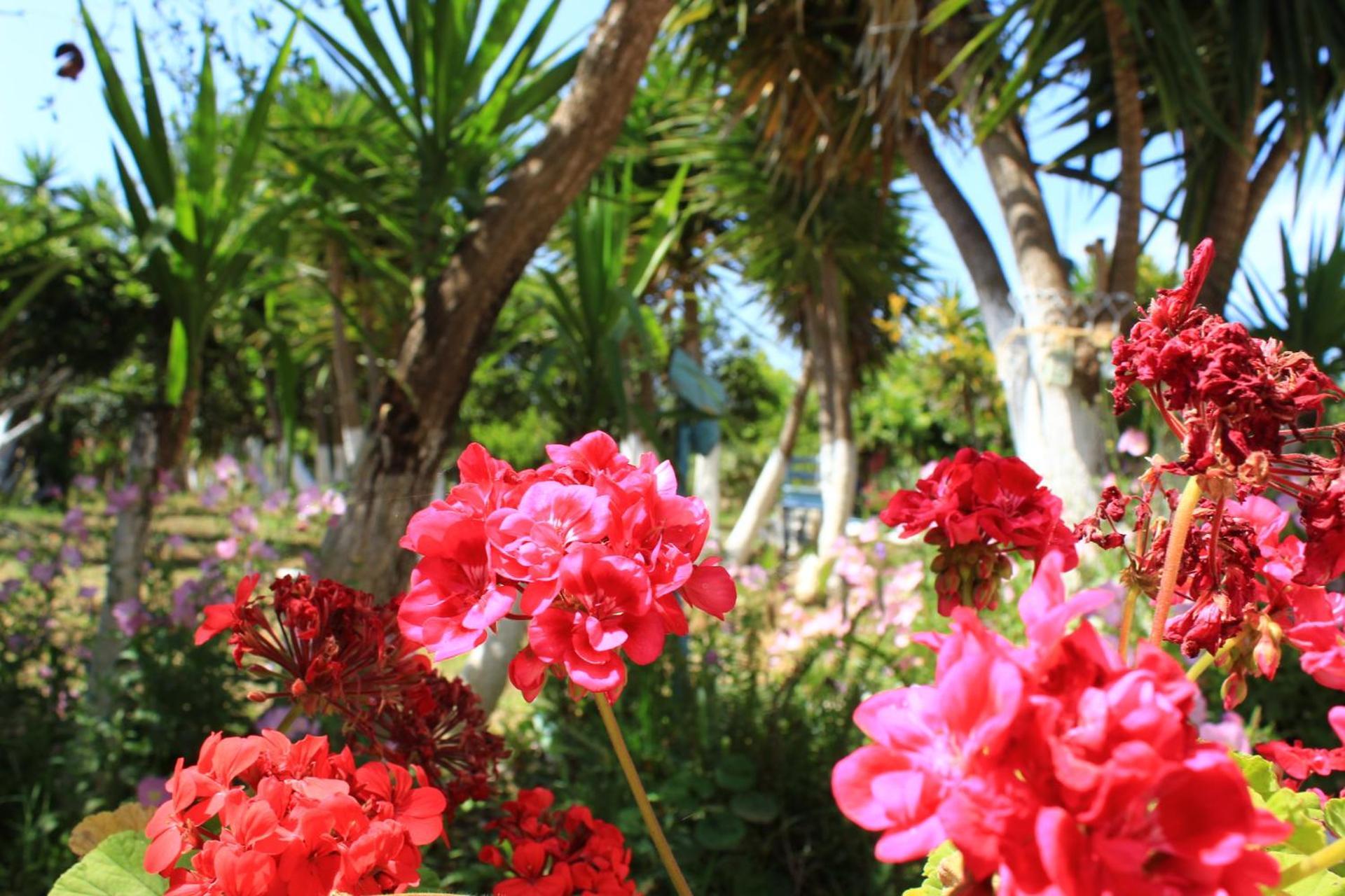 Olyna'S Apartment N.S Preveza Nea Sampsounta ภายนอก รูปภาพ